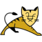 Apache Tomcat Logo