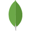 MongoDB-Logo